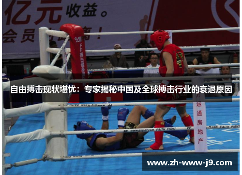 自由搏击现状堪忧:专家揭秘中国及全球搏击行业的衰退原因 自由搏击现状堪忧:专家揭秘中国及全球搏击行业的衰退原因