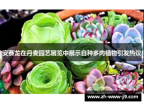 安赛龙在丹麦园艺展览中展示自种多肉植物引发热议