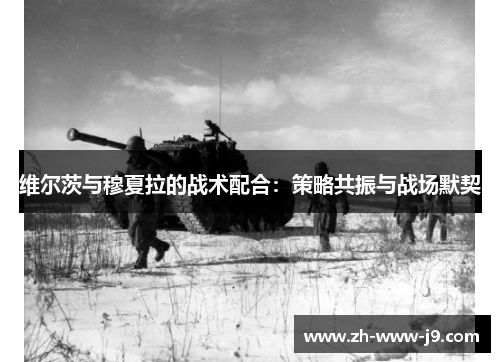 维尔茨与穆夏拉的战术配合：策略共振与战场默契