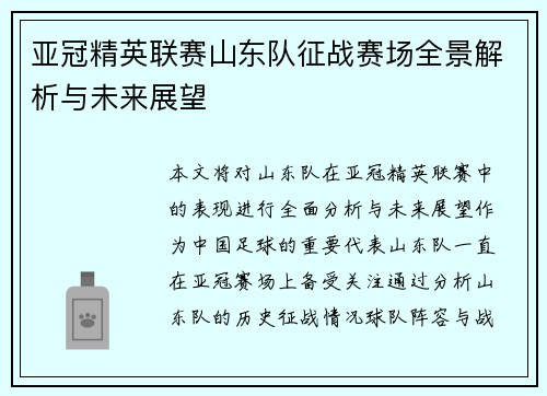 亚冠精英联赛山东队征战赛场全景解析与未来展望